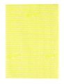 Ścierka Morana M-021 (20 szt) wiskoza, 33x50 cm